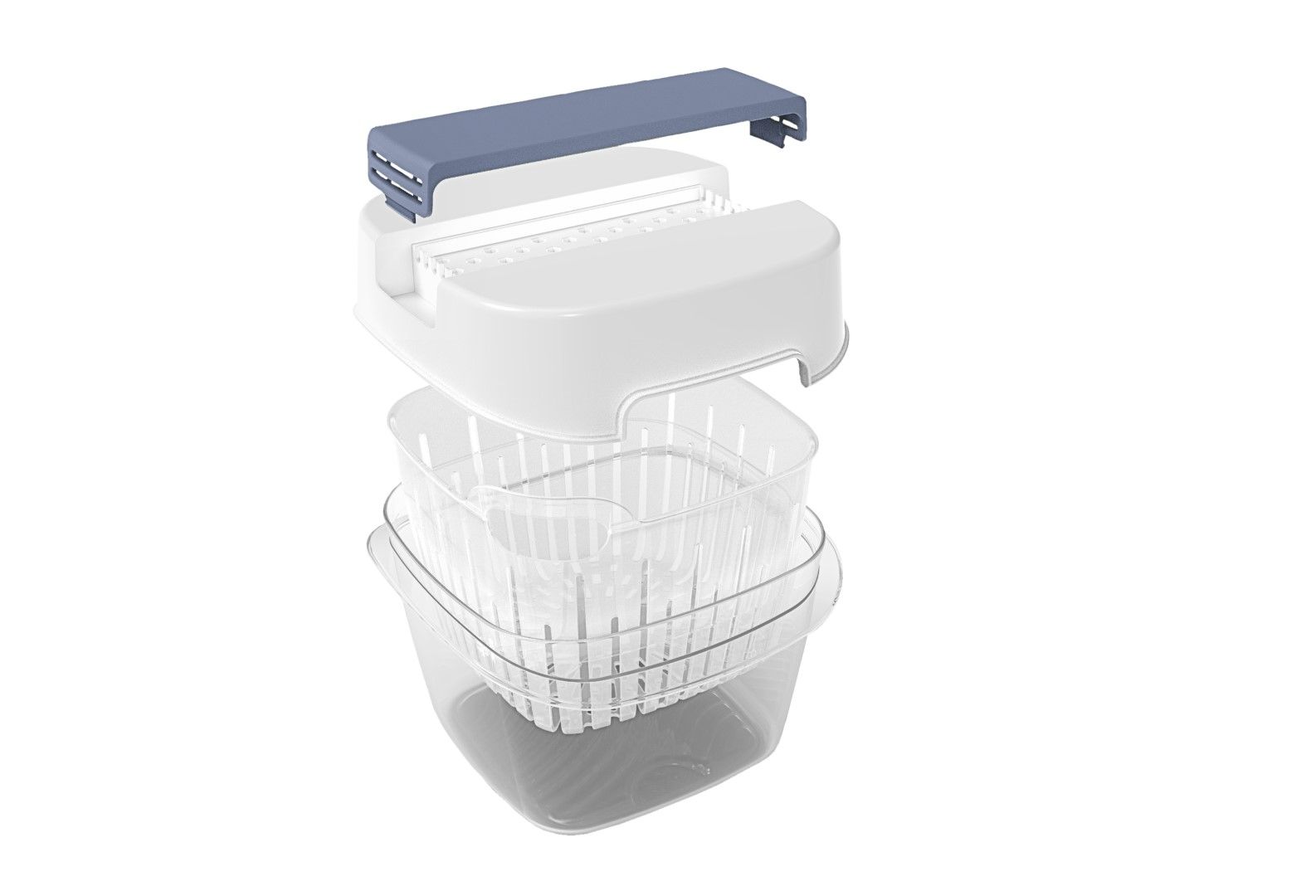 Rotho Dynamic Box 1,6 L FRESH