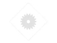 Lexmark Schwarz - original - Entwickler-Kit