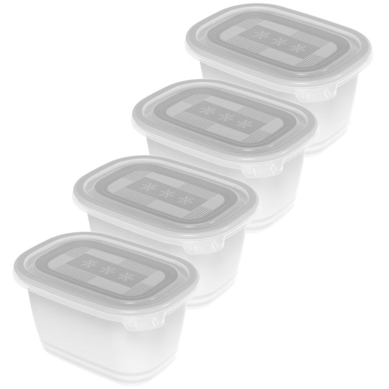 Rotho Set Gefrierdosen 4 x 0.75 l FREEZE