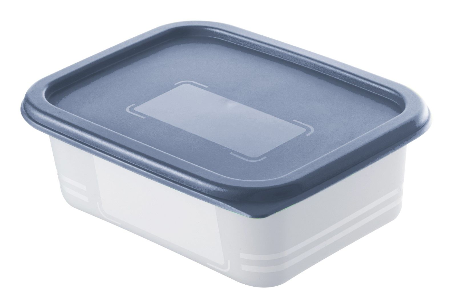 Rotho Set Gefrierdosen 4 x 0.5 l DOMINO