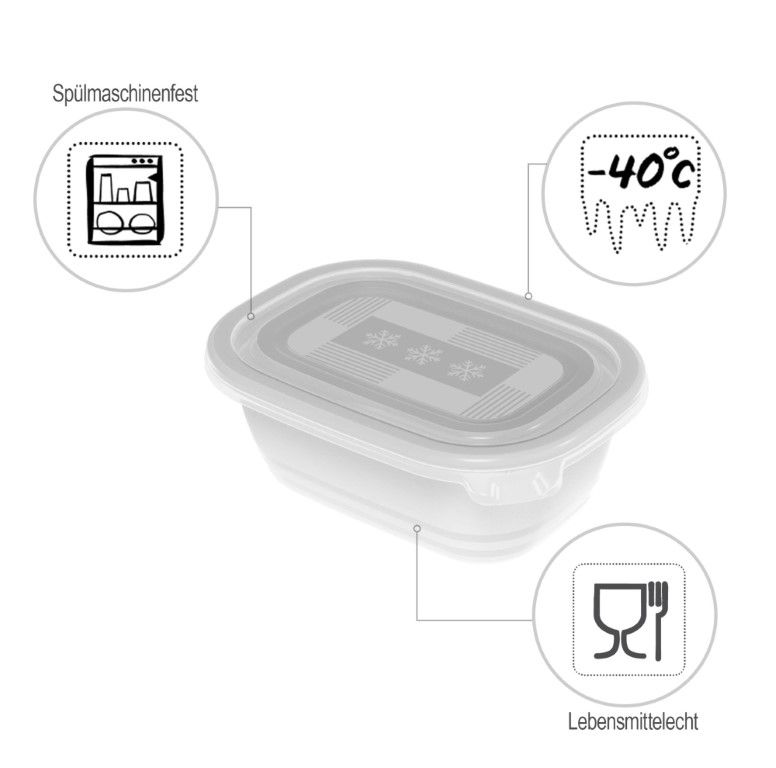 Rotho Set Gefrierdosen 4 x 0.5 l FREEZE