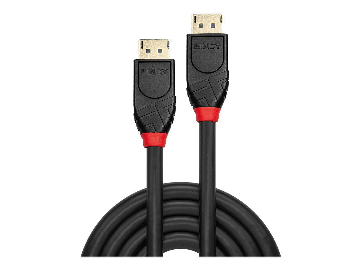 Lindy DisplayPort-Kabel - DisplayPort (M)