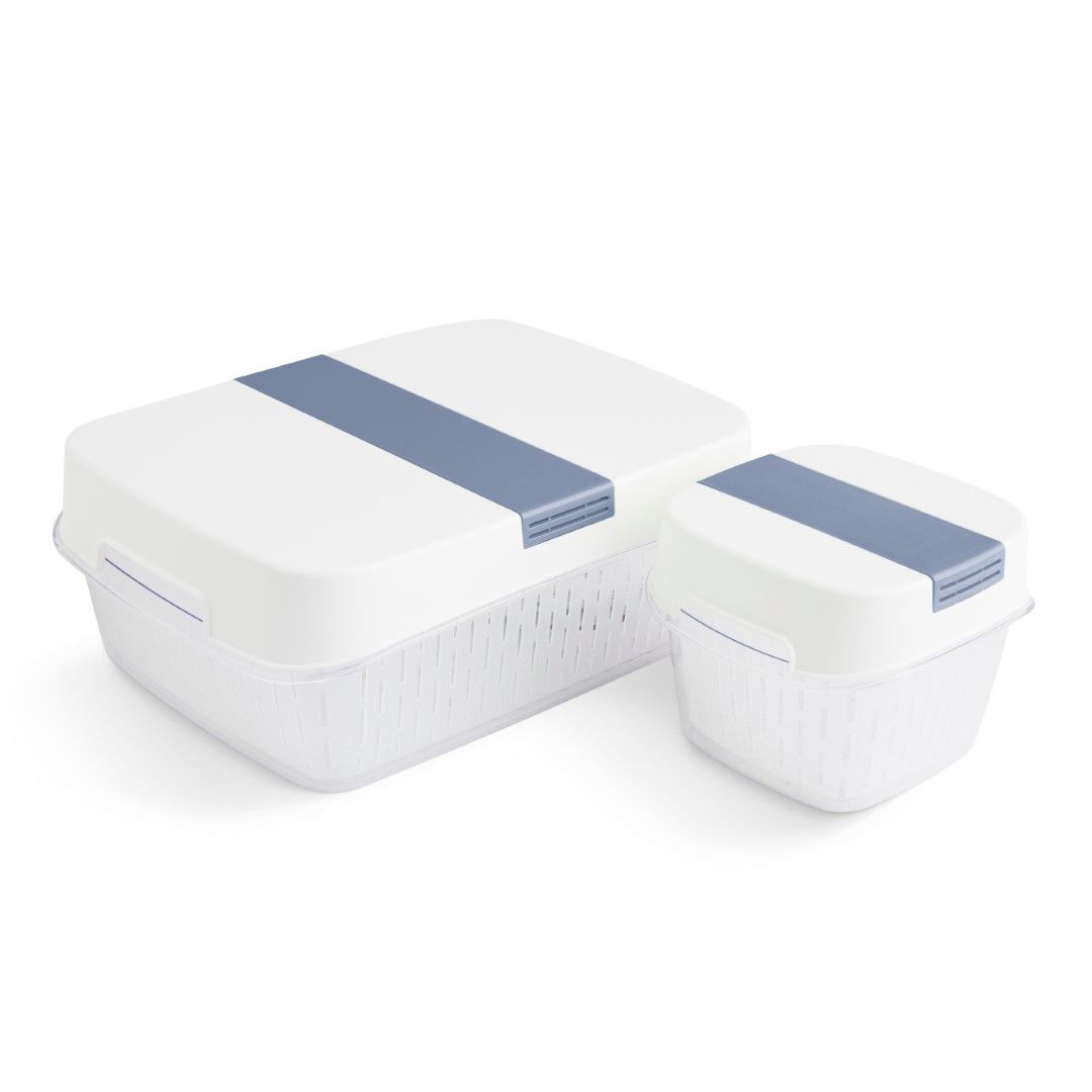 Rotho Dynamic Box 1,6 L FRESH