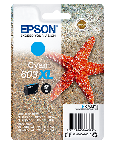 Epson 603 Tinte Seestern Singe, XL, cyan