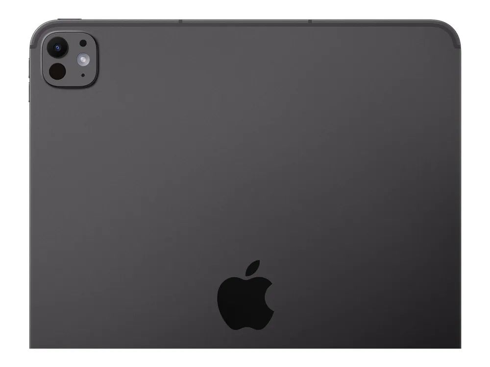 Apple iPad Pro Wi-Fi+ Cellular with standard glass Space - 33 cm