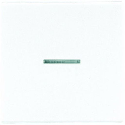 Jung KONTROLLWIPPE F.SCHALTER+TAST. / JUNG LS 990 KO 5 WW LS990KO5WW