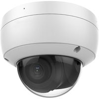 LevelOne FCS-3096 - Netzwerk-Überwachungskamera - Kuppel - Außenbereich, Innenbereich - Vandalismussicher / Wetterbeständig - Farbe (Tag&Nacht)