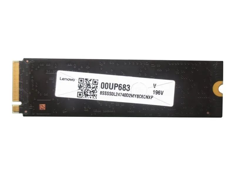 Lenovo WD PC SN720 - SSD - verschlüsselt - 512 GB