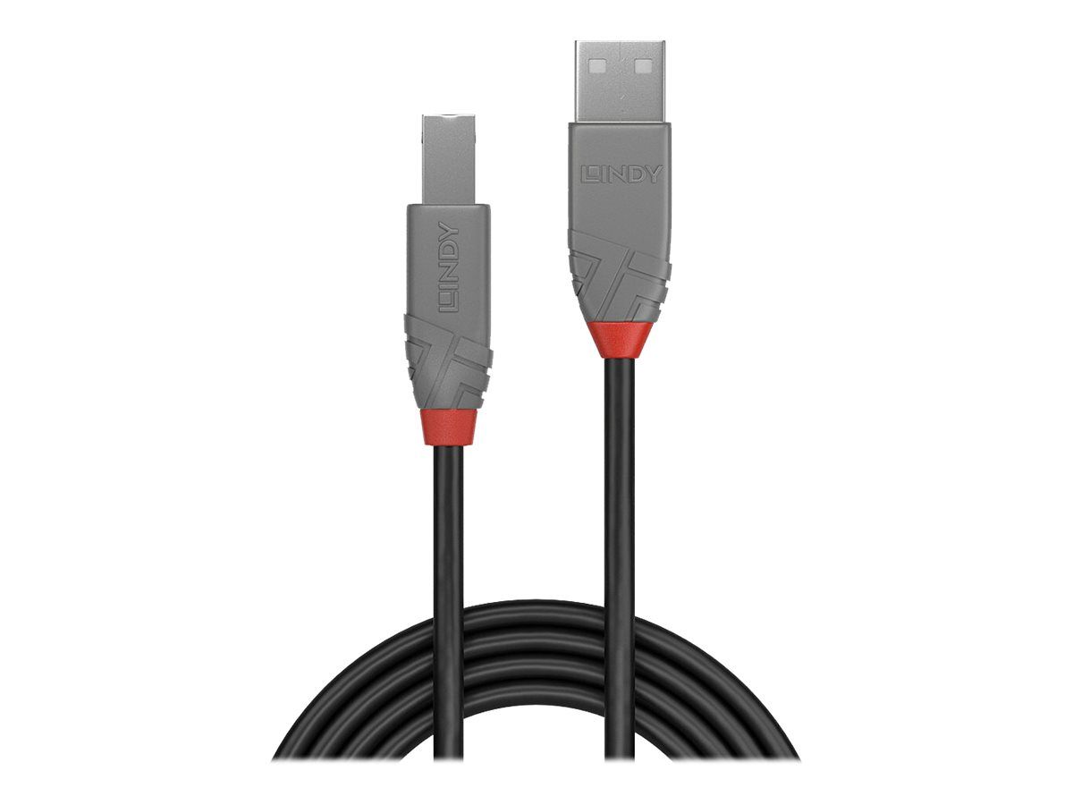 Lindy Anthra Line - USB-Kabel - USB (M) zu USB Typ B (M)