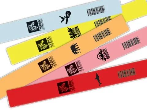 Zebra Z-Band Fun - Pink - 25.4 x 254 mm 2100 Stck. (6 Rolle(n)