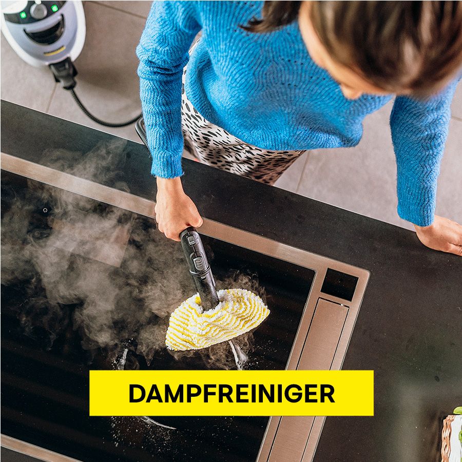 Dampfreiniger