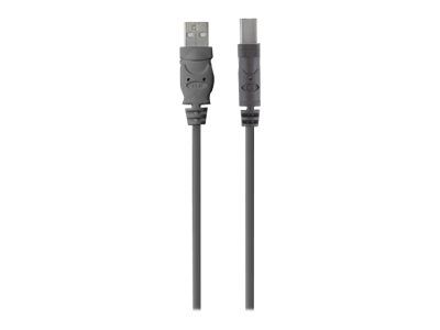 Belkin Premium Printer Cable - USB-Kabel - USB Typ B (M)