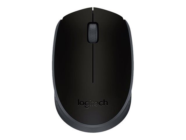Logitech M171 - Maus - rechts- und linkshändig - kabellos - 2.4 GHz - kabelloser Empfänger (USB)