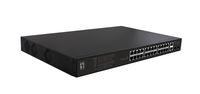 LevelOne FGP-2831 - Unmanaged - Fast Ethernet (10/100) - Power over Ethernet (PoE) - Rack-Einbau - 1U