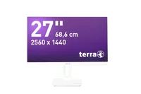 TERRA LCD/LED PV white USB-C/DP/HDMI Greenline PLUS - Flachbildschirm (TFT/LCD) - 60,5 cm
