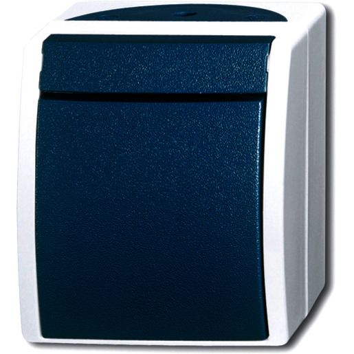 Busch-Jaeger AP AUSSCH.2P / BUSCH 2601/2 W-53 2CKA001085A1605