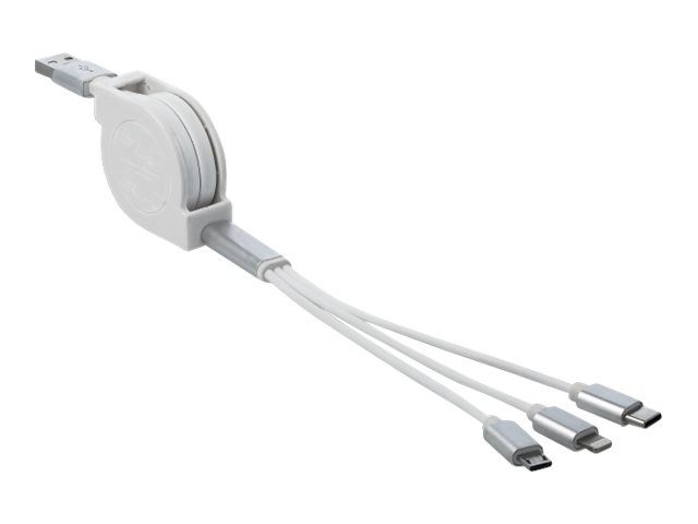 Delock Lightning-Kabel - USB männlich zu Micro-USB Typ B, Lightning, USB-C männlich