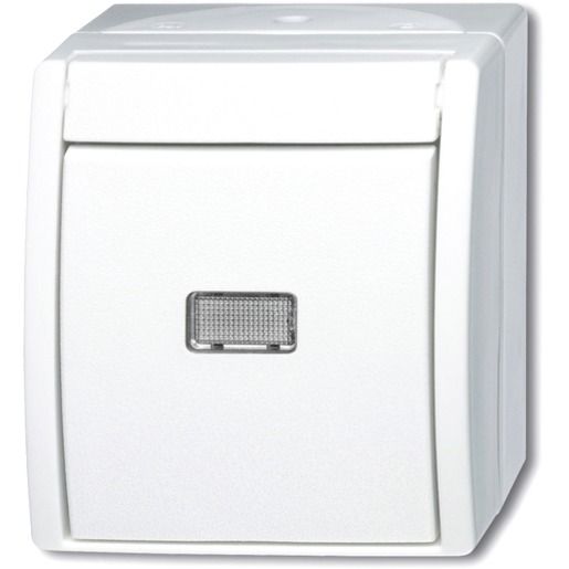 Busch-Jaeger AP TA.WECHSLER / BUSCH 2621 W-54-206 2CKA001484A0377