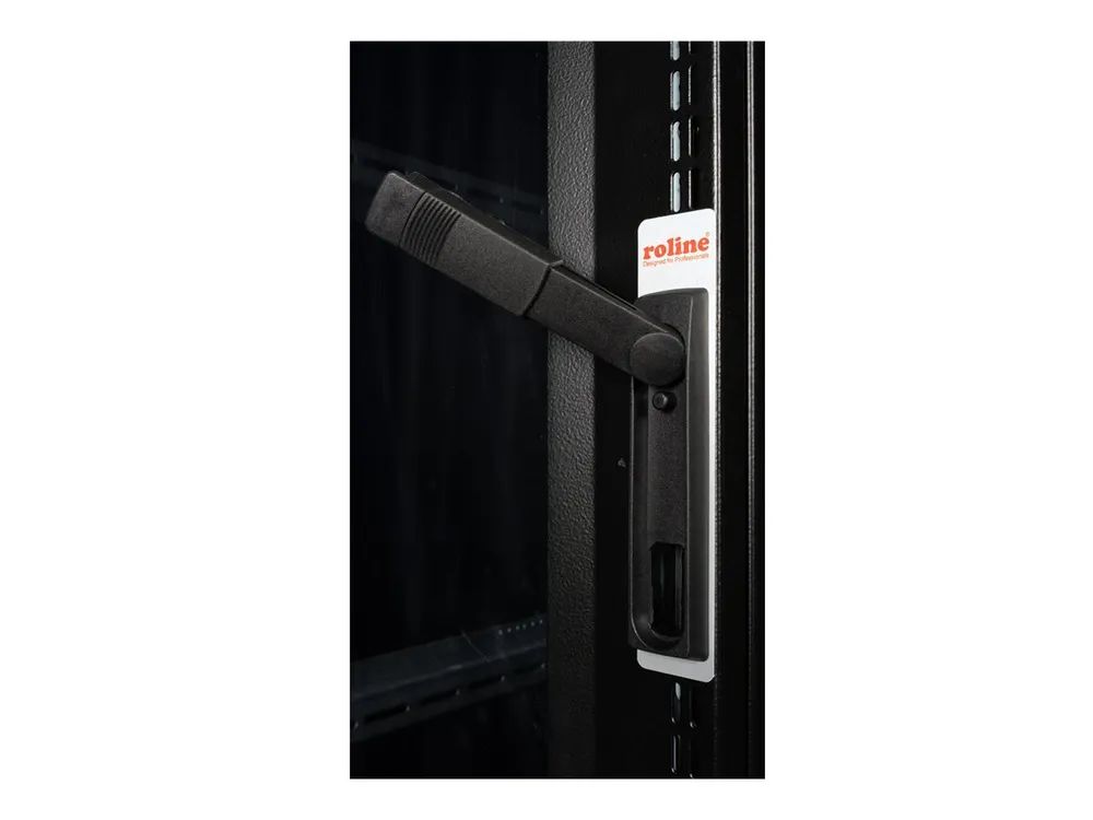 ROLINE Pro - Schrank Netzwerkschrank - RAL 9005, Jet Black - 36U - 25.4/48.3 cm (10"/19")