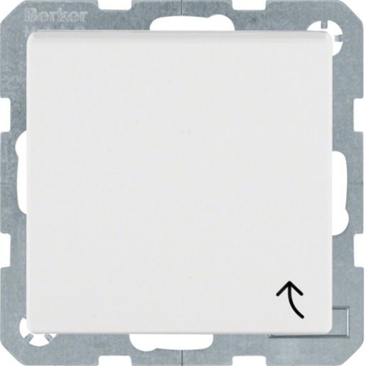 Berker SSD KLPD STECKKL EBS PW MATT / BERKER 47241909 S.1 IP44 47241909
