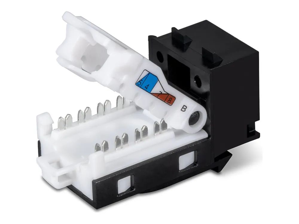 TRENDnet TC-K50C6BK - Modulare Eingabe - CAT 6 - Schwarz - TAA-konform (Packung mit 50)