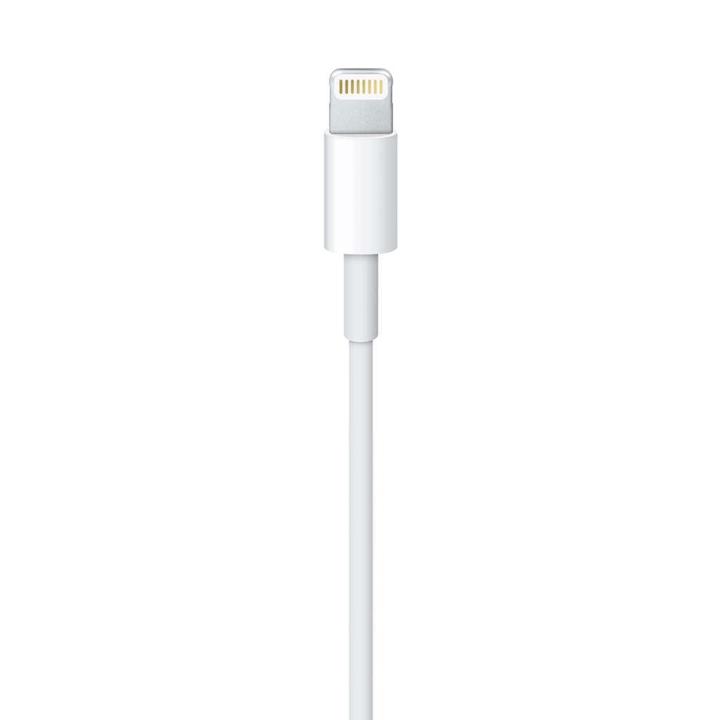 Apple Lightning-Kabel - Lightning männlich zu USB männlich