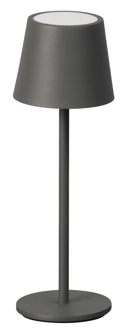 FH Lighting GmbH Lampe ROXI grau