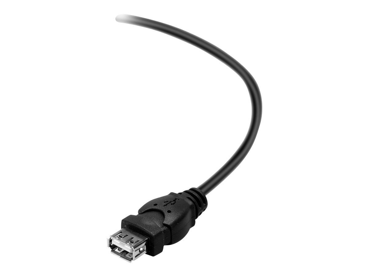 Belkin USB-Verlängerungskabel - USB (M) bis USB (W)