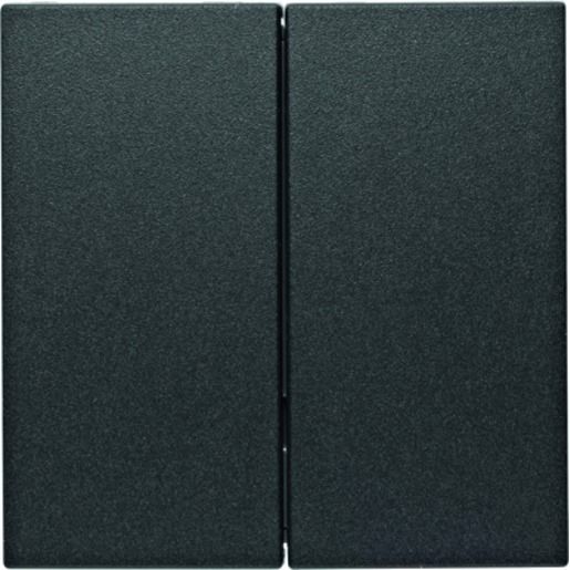 Berker S.1/B.X HBNET TASTE 2F.ANT.MAT / BERKER 85142185