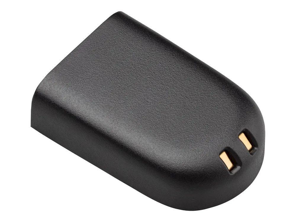 Poly Batterie - mit Ausbauwerkzeug