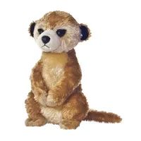 Aurora MF MEERKAT