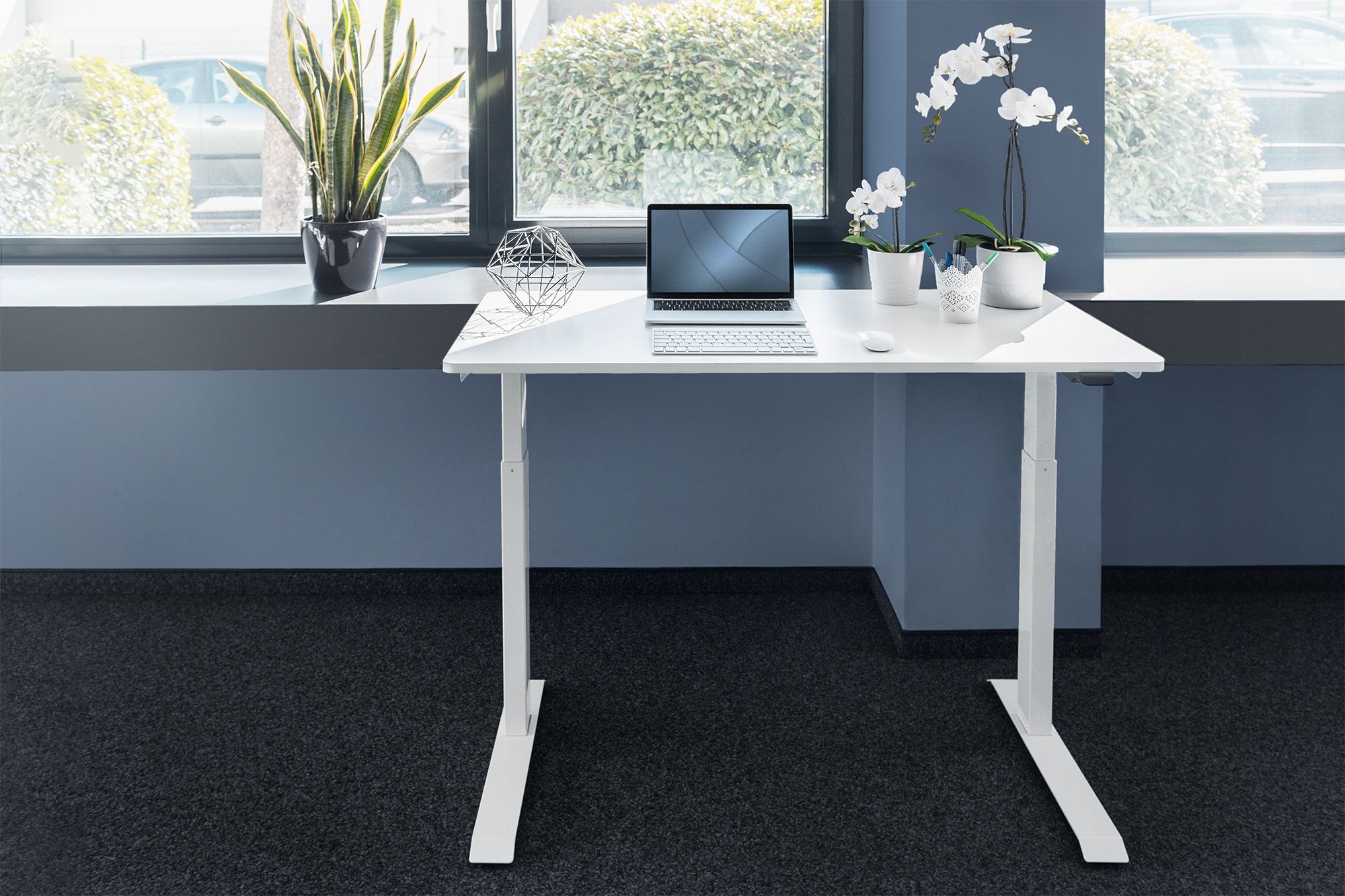 DIGITUS Elektrisch höhenverstellbarer Schreibtisch