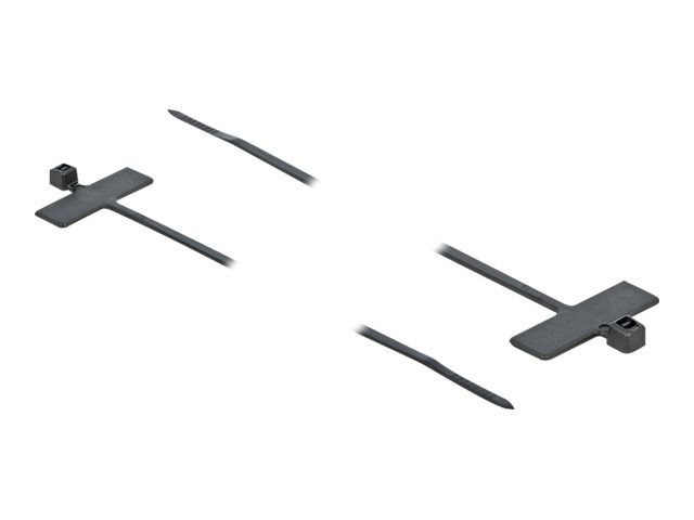 Delock Cable Tie with Label Tap - Kabelbinder - 10 cm - Schwarz (Packung mit 10)
