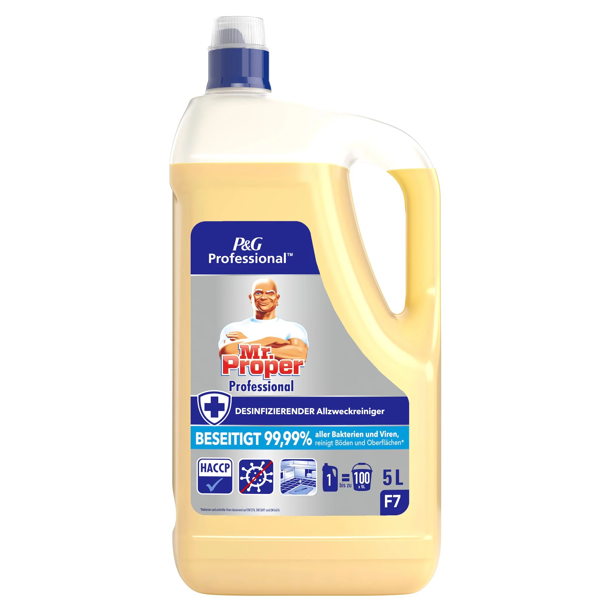 Mr. Proper Professional Allzweck-Hygienereiniger, Oberflächendesinfektion, Lebensmittelsicher