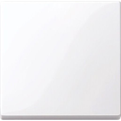 Merten WIPPE SYSTEM M / MERTEN 432125 WS GLÄNZEND 432125