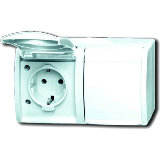 Busch-Jaeger FR AP STD 2F WR / BUSCH 20/2 EW-54 2CKA002084A0711