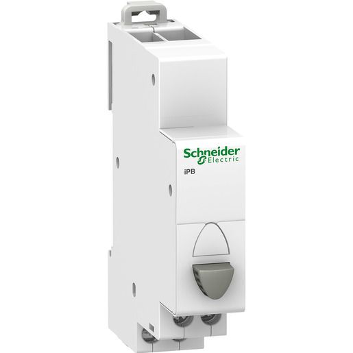 Schneider Electric BP DRUCKTASTER GRAU 1S / SCHN.E A9E18032