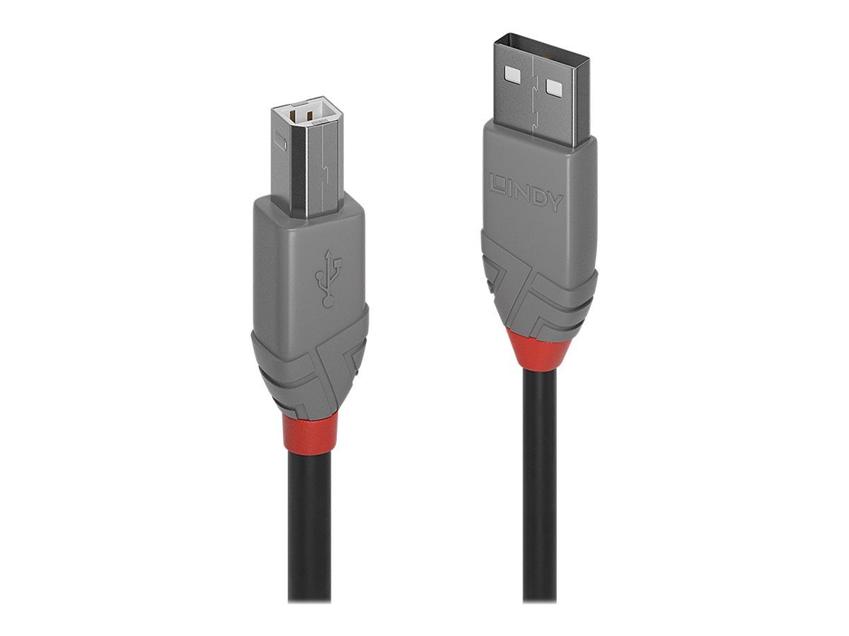 Lindy Anthra Line - USB-Kabel - USB (M) zu USB Typ B (M)