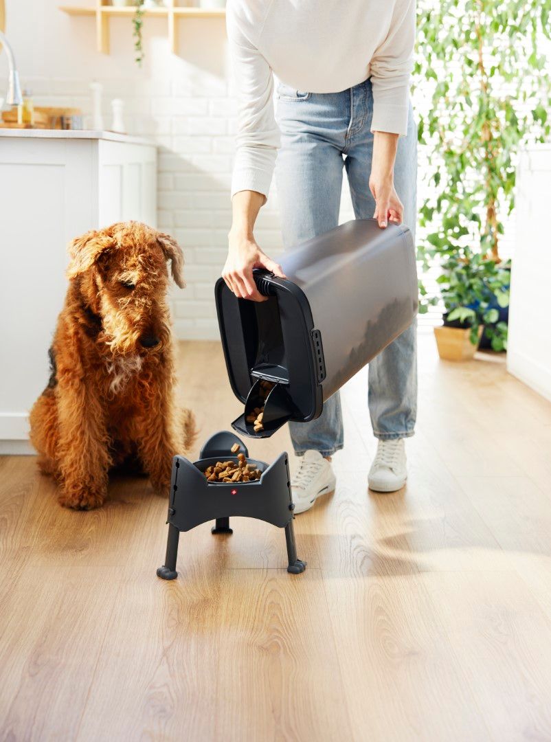 Rotho Cody Tierfutterbehälter 25 l