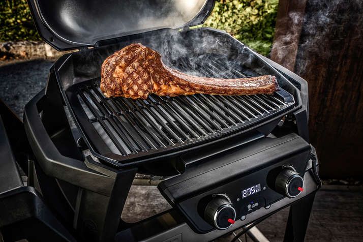 Weber PULSE 2000, schwarz