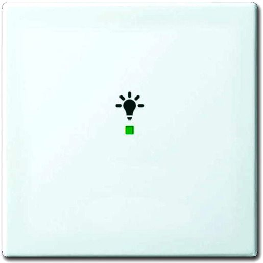 Busch-Jaeger WIPPE 1-FACH, LICHT / BUSCH 6231-10-914 2CKA006220A0356