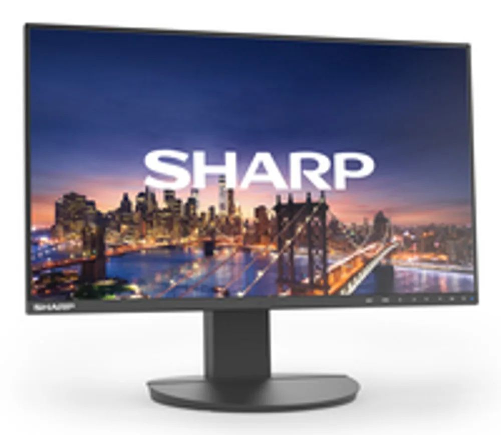 NEC Multisync DD-EA241F - Flachbildschirm (TFT/LCD) - 24"