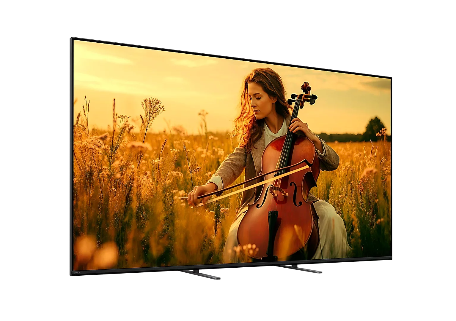 Sony K98XR55BP.CEI