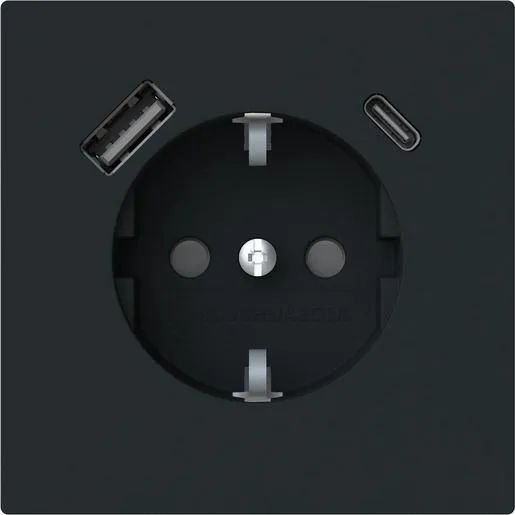 Busch-Jaeger AL SCH/2XUSB-STD A+C / BUSCH 20 EUCB2USBAC-45M 2CKA002011A6322