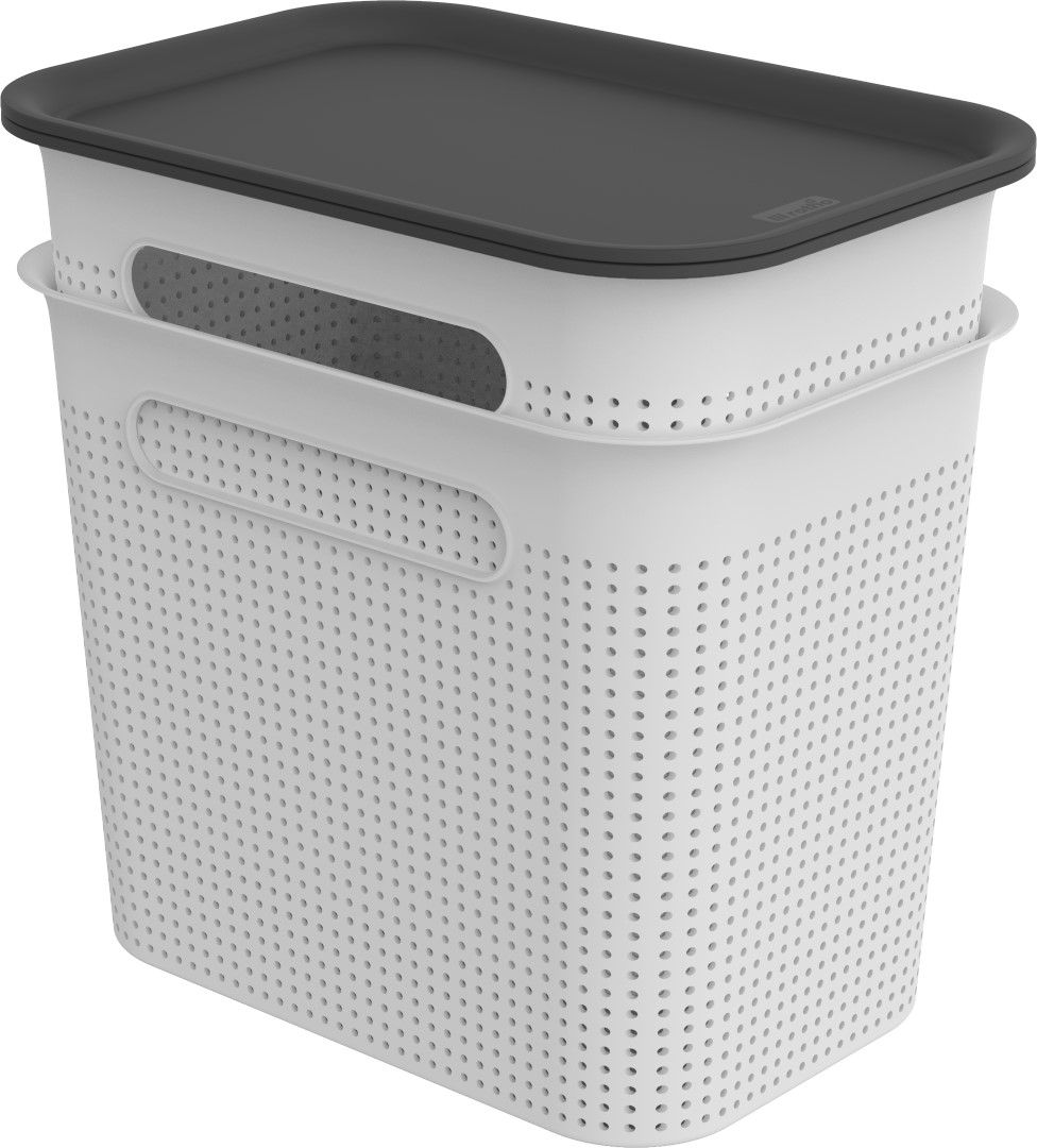 Rotho Box schmal 7 l BRISEN