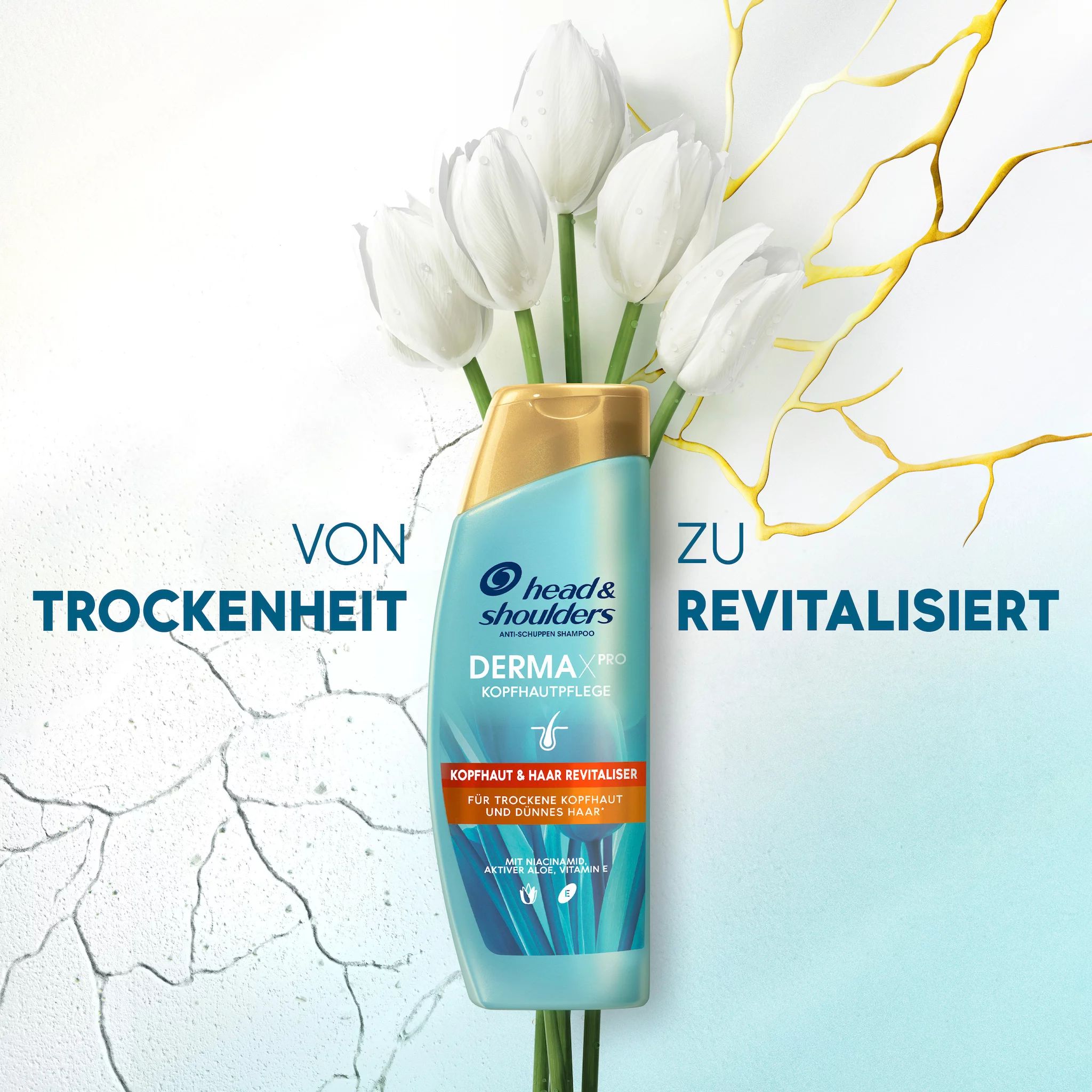 Head & Shoulders Derma x Pro Shampoo Revitalisierend