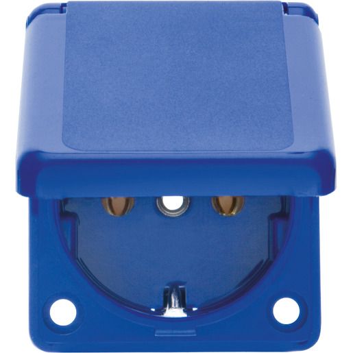 Berker EB.SSD IP44 50X60MM M.KLAPPD. / BERKER 7429635
