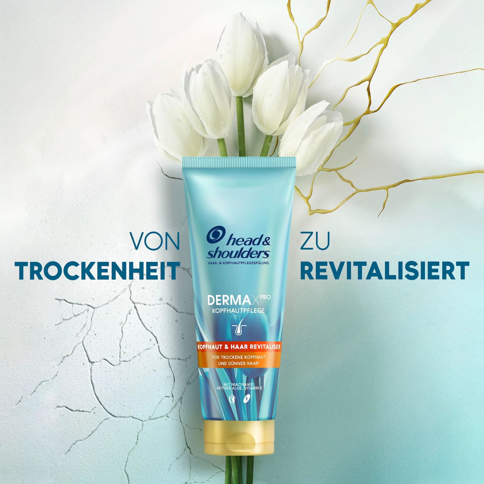 Head & Shoulders Derma x Pro Spülung Revitalisierend