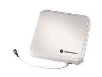 Zebra Antenne