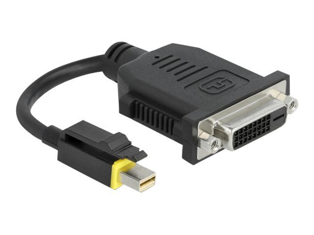 Delock Videoadapter - Single Link - Mini DisplayPort (M)